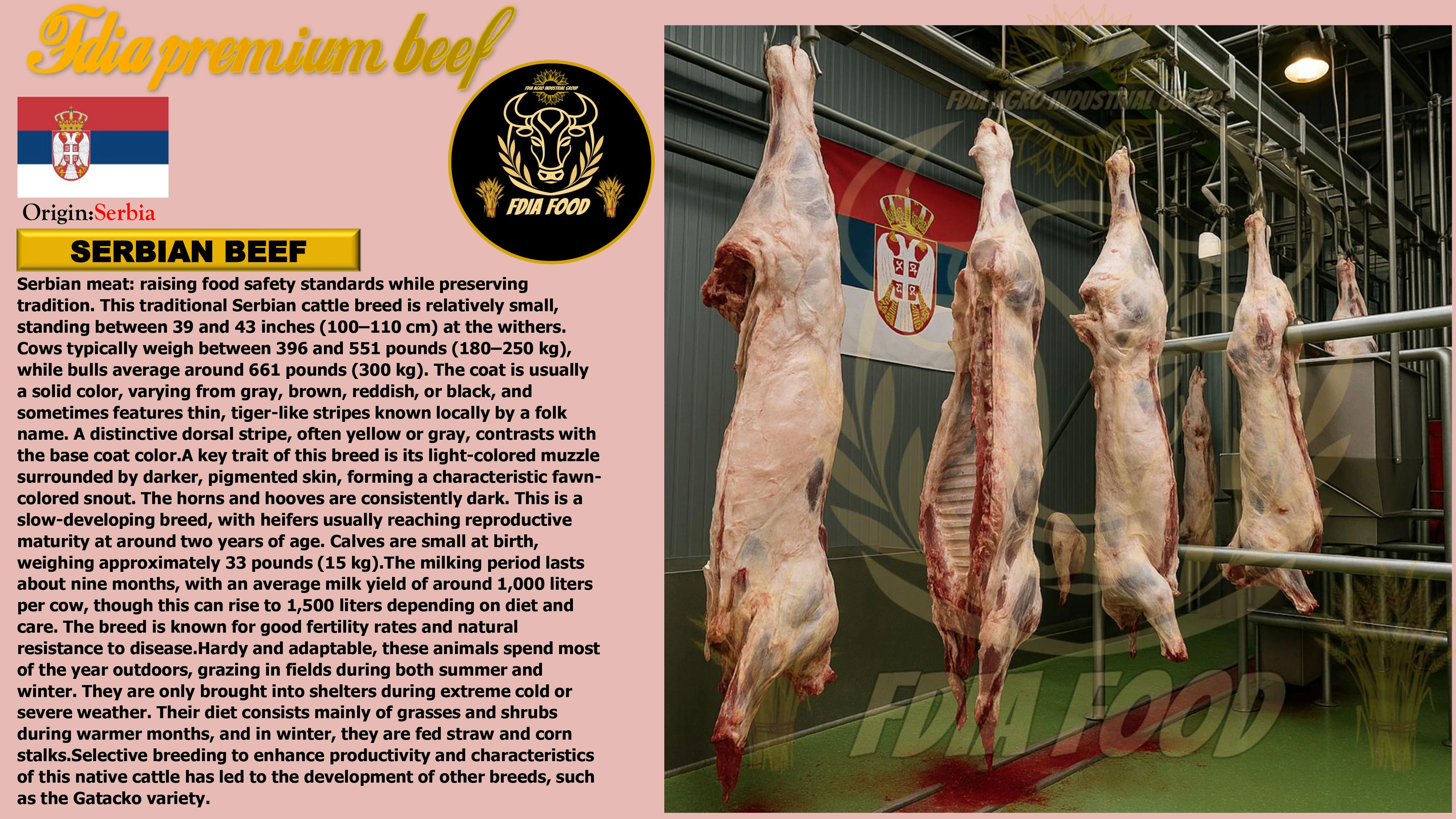 meat (19)